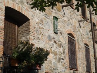 Country Tuscan home in Lucca - Lucca - 9