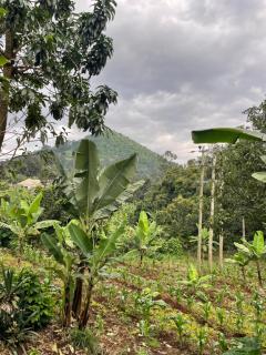MSF BACHELOR PAd - Arusha - 6