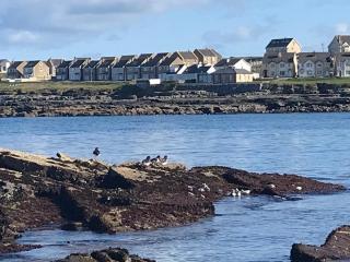Esker - Kilkee - 0