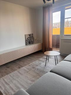Stilingi apartamentai Vilniaus g - Šiauliai - 1