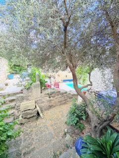Les jardins de Montbazin - Montbazin - 3