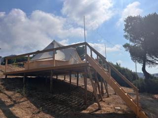 Villa Conti Residence - 4