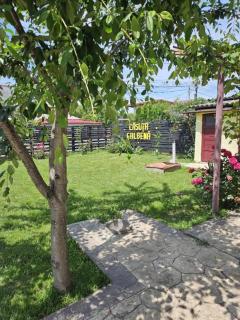 Yellow House - Eforie Nord - 0