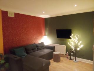 Entire Apartment - Dublin City Centre - D08YN27 - Dublín - 0
