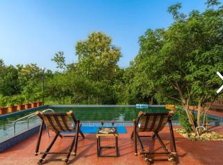 saagwana jungle villaa - - 5