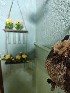 Il Drago Del Lago - Holiday Home - Madonna del Sasso - 3