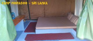 Camp Moragoo - - 2