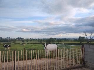 The Stables - Sibbertoft - 7
