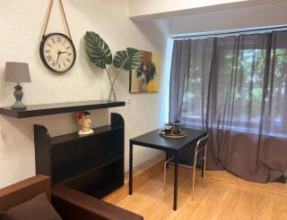 Studio 10 min walk from old town - Vilnius - 0