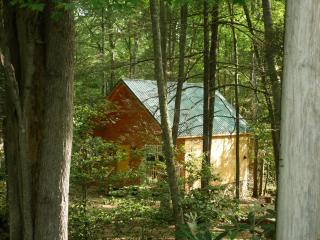 Smoky Mountain Retreat - 2 Cabins - Cosby - 8