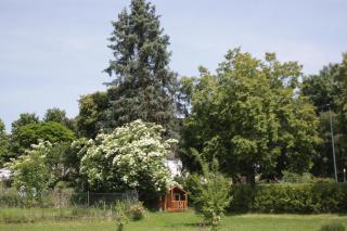Ferienwohnungen Maijeschhof - Pelm - 5