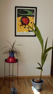 Kapellenblick! geräumiges Apartment - 1