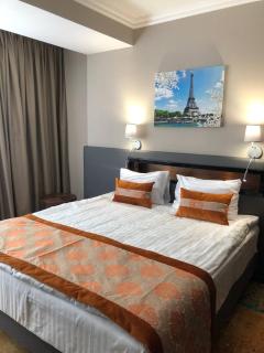 ARDEN PALACE Medical Resort & SPA - Sataniv - 6