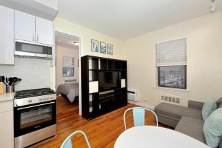 Comfy 1 Bed 1 Bath Apartment in NYC - New York - 7