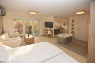 ZEN, Proche Basel, Free parking - Saint-Louis - 9
