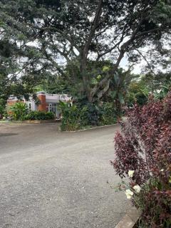 Attorney Pad - - 8