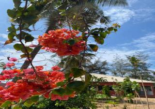 Appart'haris - Ouidah - 5