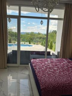 Mountain villa, pool, nature "The captain's villa" - Skopje - 7