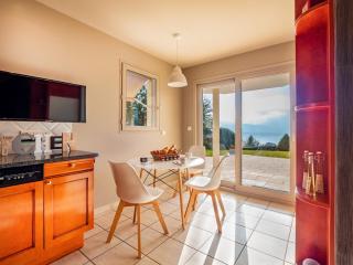 Lake and mountains Air-conditioned villa - Veyrier-du-Lac - 3