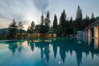 Chalet Podgorie Spa&Resort - Palyanytsya - 9