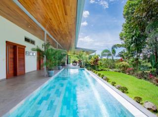 Privacy-large Pool-wildlife-amazing - 7