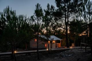 Badoca Safari Glamping Experience - - 7