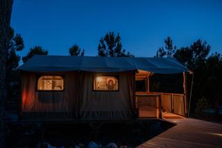 Badoca Safari Glamping Experience - - 6