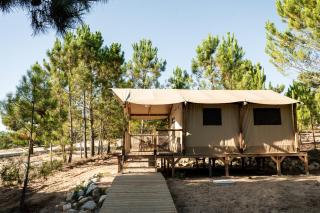 Badoca Safari Glamping Experience - - 5