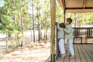 Badoca Safari Glamping Experience - - 3