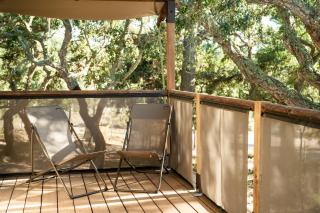 Badoca Safari Glamping Experience - - 1