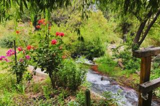 Gran Casa y Parcela de Campo y Montaña a 90 minutos de Santiago - 5