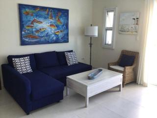 Penthouse Apartment with rooftop near beach - Punta Cana - 5