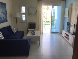 Penthouse Apartment with rooftop near beach - Punta Cana - 2