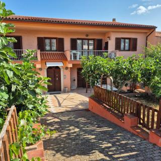 Two-room apartment with outdoor space - Palau - 8