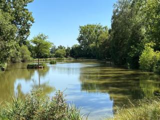 Les Rives De Bel Air - Hébergements - Camping - Caravaning - Saint-Siméon - 6