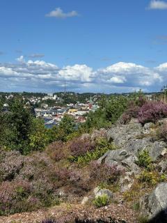 Arendalsuka - stort hus 15 min gangavstand til ferga - Arendal - 5
