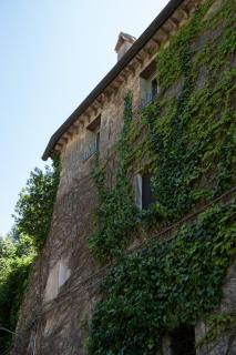 La Vecchia Scuola - Stifone - 9