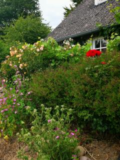 Den gamle smedie - Holbæk - 7