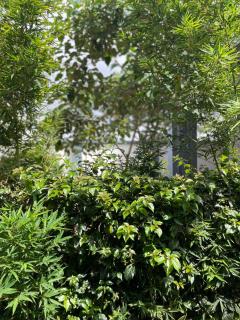Spe 2BedRoom - - 2