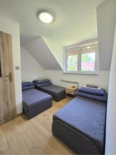 Kompleks domków na Mazurach dla grupy 15 osobowej - Sędańsk - 4