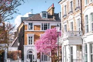 Mews One - Londres - 6