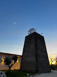 Torre Menerva Viterbo - Bullicame - 3