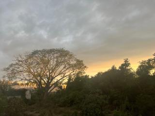 Casa Azul - Naranjo - 0