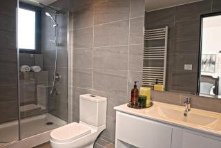 Puerto Varas frente al Lago Llanquihue "Aedes Salus" - 3