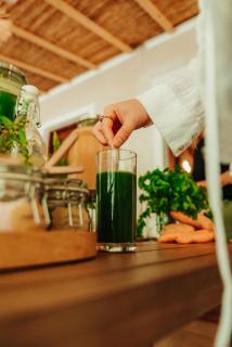 YONIK Farm - Detox retreat in nature - Miliou - 4