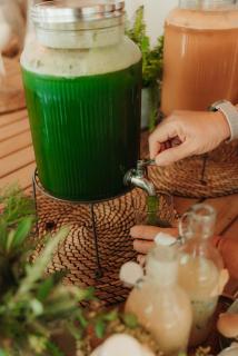 YONIK Farm - Detox retreat in nature - Miliou - 1