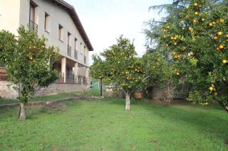 Casa Rural La Flor del Naranjo - 2