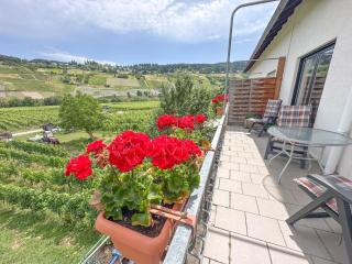 Hermes-Lex Weingut - Trittenheim - 7
