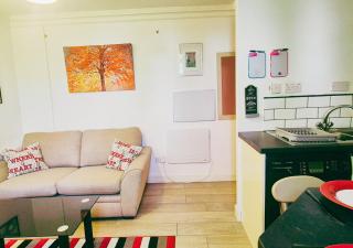 Bright and Cosy 1BR Flat w Balcony and Free Parking - Nottingham - 7