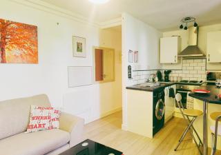 Bright and Cosy 1BR Flat w Balcony and Free Parking - Nottingham - 4